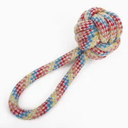 Ultimate Pet Play Set: Durable Frisbee, Interactive Pet Ball, Robust Rope Knot, and Engaging Carrot Chew Toy (Multicolor)
