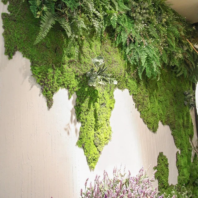 Frcolor Simulated Moss Panel Backdrop Plant Decor Background Moss Wall  Panel Fake Moss Board 