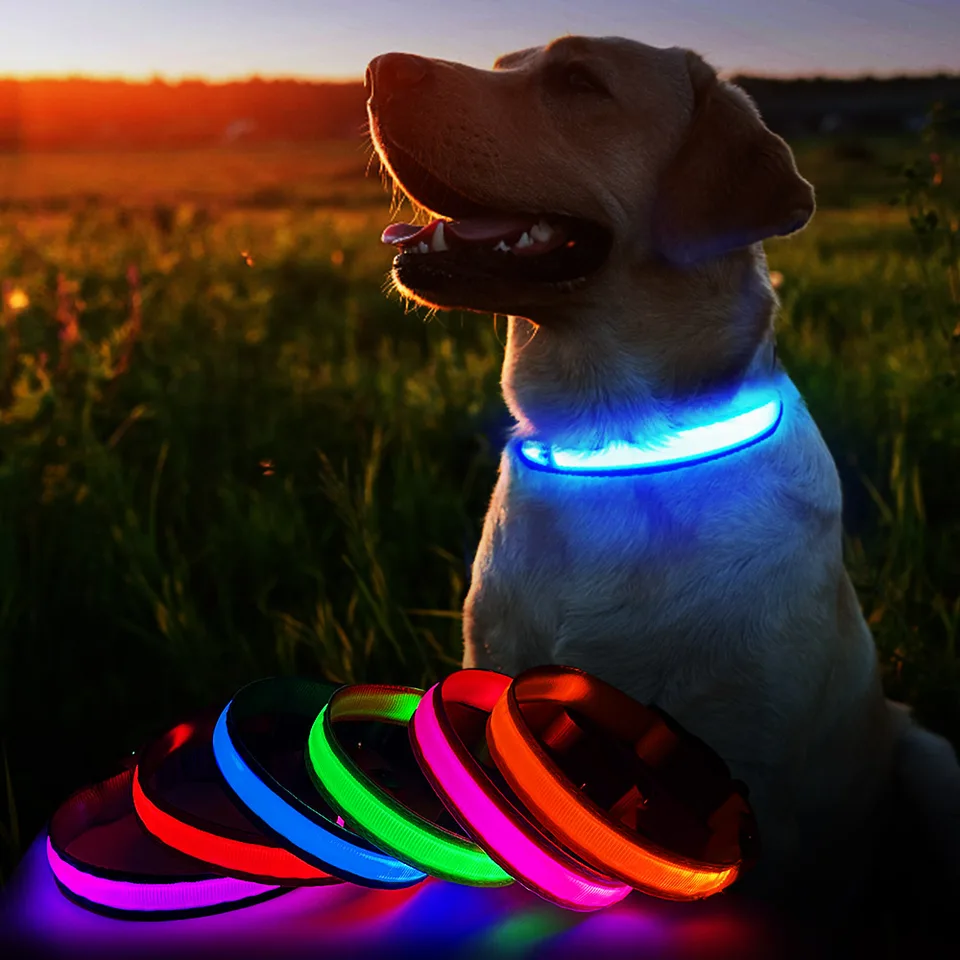 Masbrill - Collar para perro con luz LED, 100 % impermeable