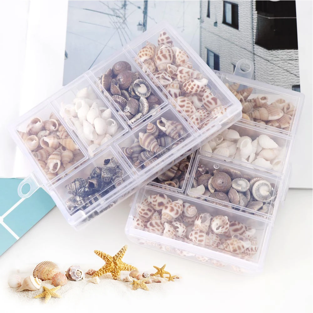 2 Boxes Wedding Beach Decor Crafts Charms Tank Tiny Shells Sea Snails Party DIY Natural Spiral Shell Handicraft Decoration natural shell ornaments