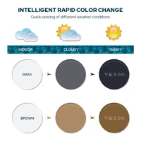 VICKI Multifocal Progressive Photochromic CR-39 Resin Aspheric Spectacle Lenses Myopia & Hyperopia UV400 Sun Protection Lenses - Image 3