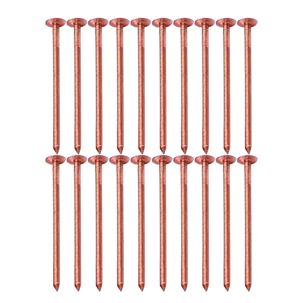 Effective Root Elimination Copper Tree Stump Killer Fast Acting Solution Large Sizes Available Non-Disturbing Method