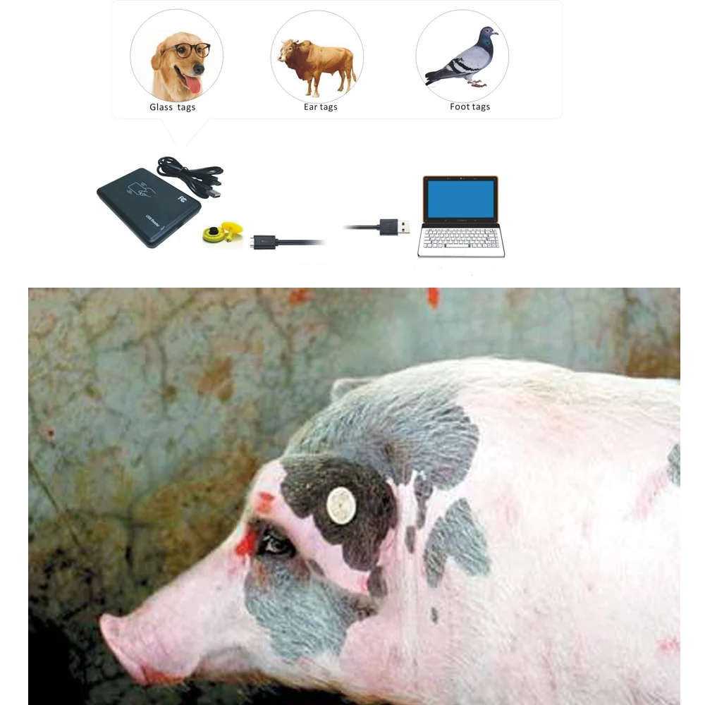 100pcs/lot FDX-B pet animal microchip Syringe horse dog - Main Image