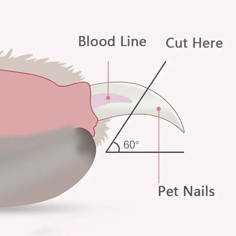 Professional Pet Nail Clippers with Led Light 6