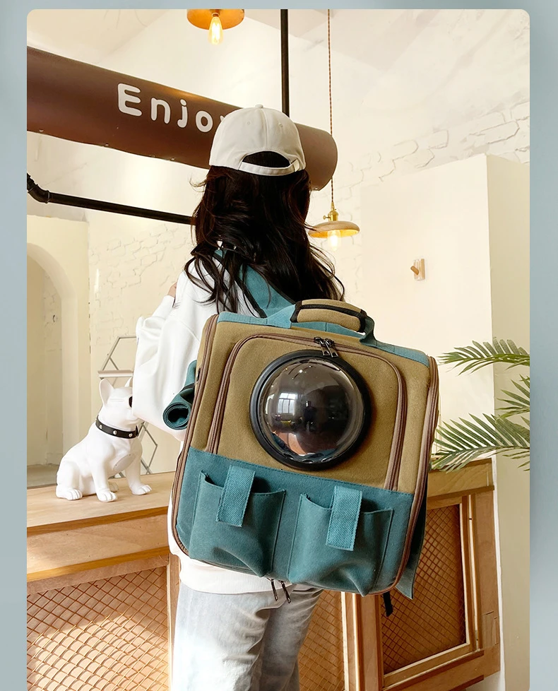 Title 9, Portable Pet Carriers Breathable Mesh Dog Backp...