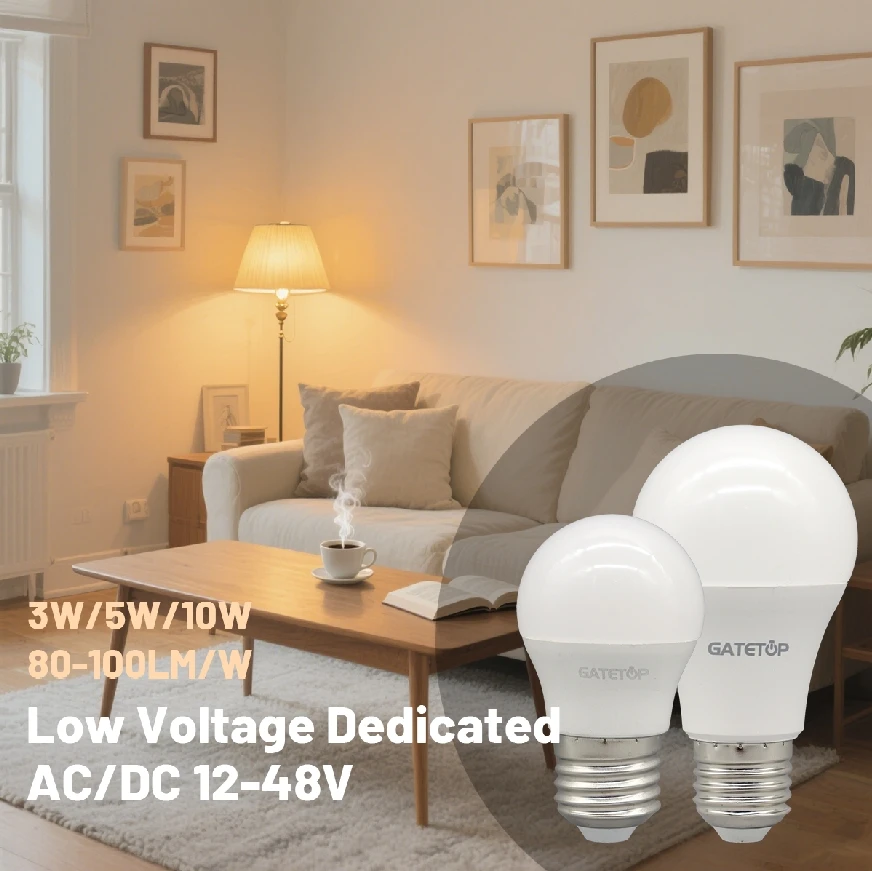 10PCS 12-48 โวลต์แรงดันไฟฟ้าต่ําหลอดไฟ LED E27 B22 5W 10W เย็น WARM White โคมไฟทํางานร่วมกับระบบแสงพลังงานแสงอาทิตย์กลางแจ้ง 1