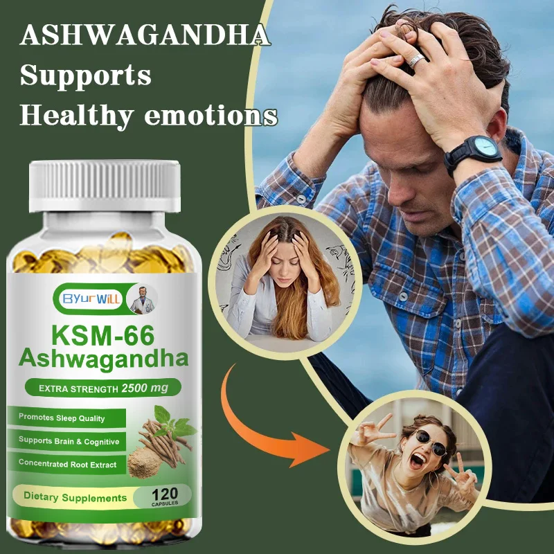 Natural KSM 66 Ashwagandha Supplement Improves Vitality Energy Levels Exercise Endurance Adult ashwagandha supplement