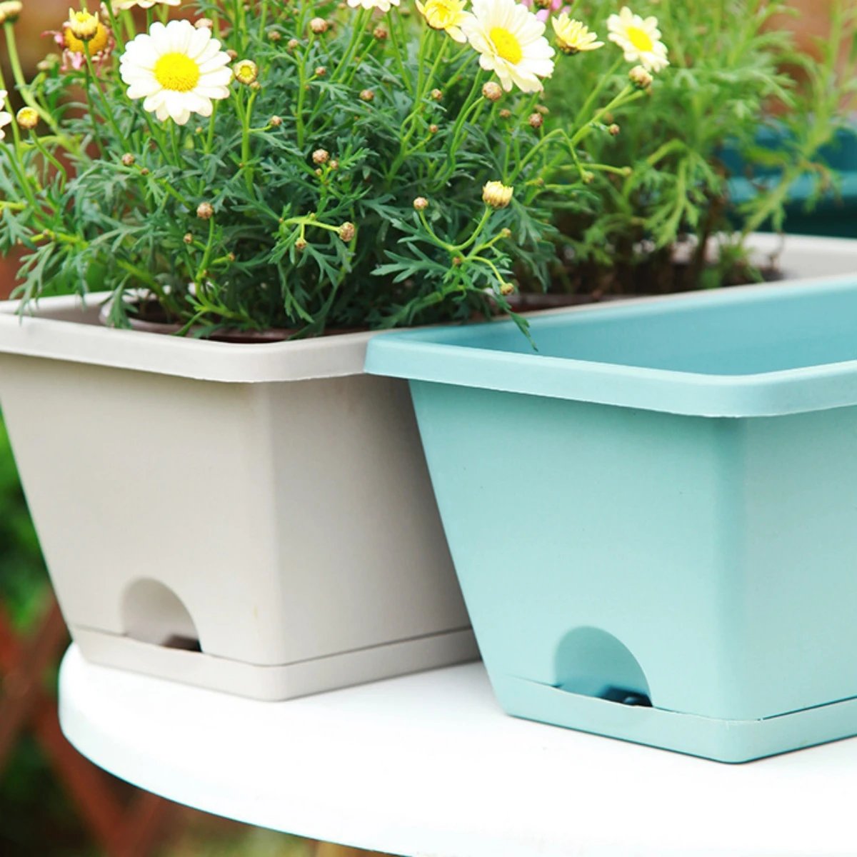 Planter shown with different types of plants and flowers.