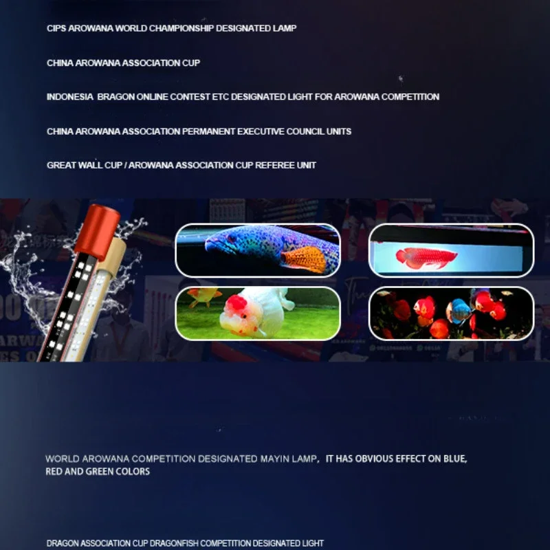 キ*ン様 Arowana Magical Light Series キ*ン様 Arowana Magical Light