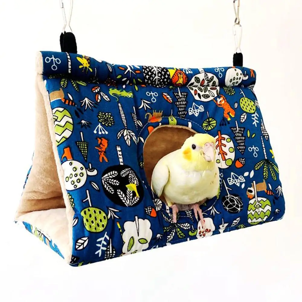 Budgies ܿ ÷ ܽ Ͽ콺, ǫ ֿ  Ʈ,  ħ, ޹ ظ,  θ