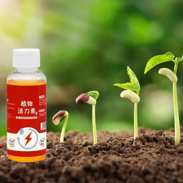 Növénynövekedés -Fokozó Kiegészítő Növényi Pornövekedés Szabályozó A Palánta Bonsai Fa Számára - Image 2