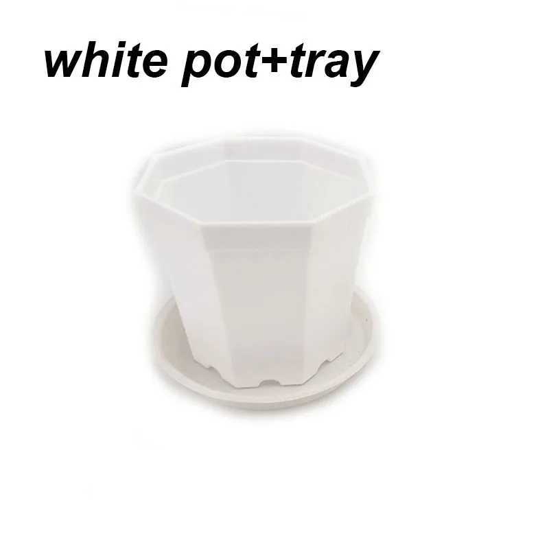 white pot and tray