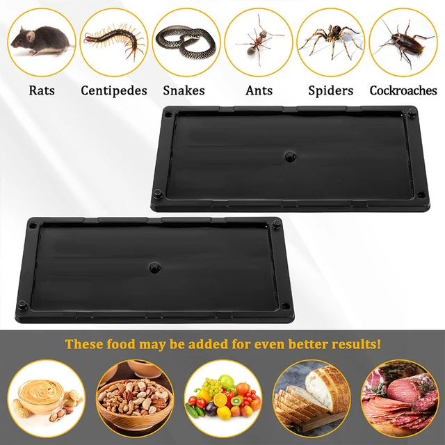 Extra Large Rat & Mouse Glue Traps - Enhanced Stickiness for Maximum Pest  Control - Traps Spiders, Roaches & More!