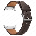 Silver Dark brown