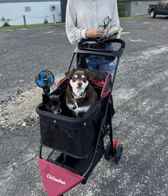Portable Foldable Pet Stroller for Small Dogs & Cats, Travel Carrier with Canopy, Storage Basket 1