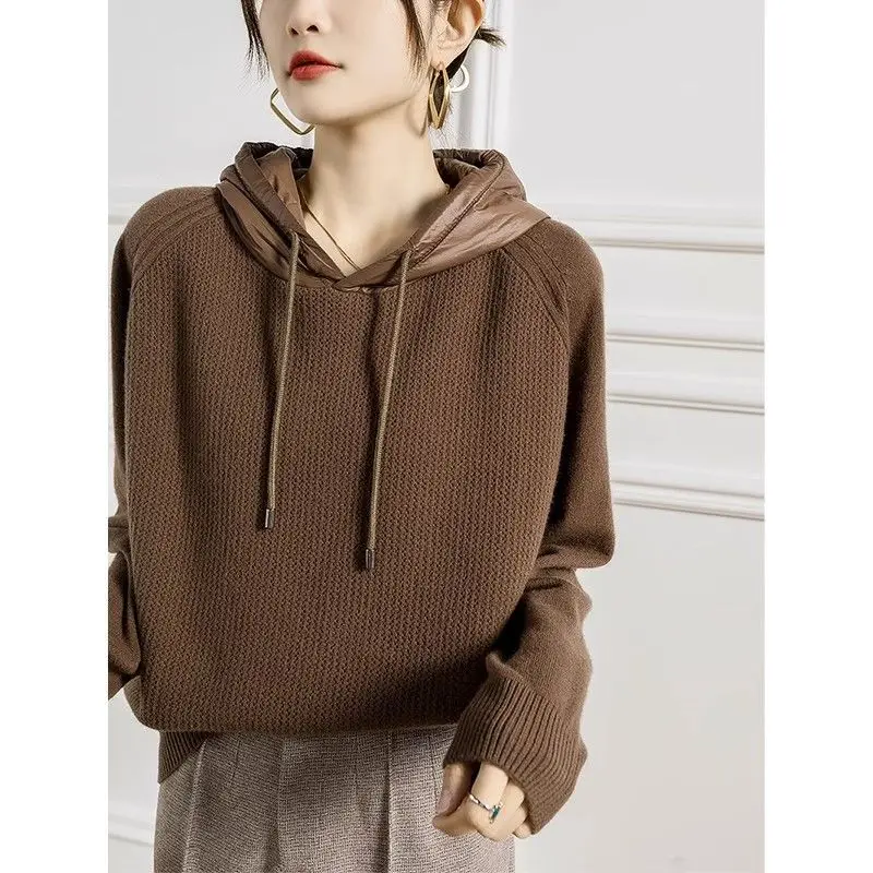 

Autumn Winter Wool Hooded Sweater Soft Twist Cashmere Wool Pullovers Women Causal Raglan Sleeve Knitwears Maillard Jumper X427