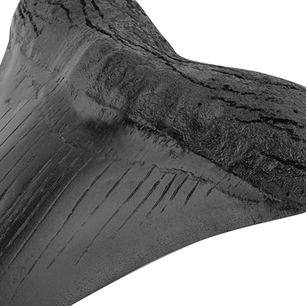 Black Shark Teeth Fossil 5inch Giant Megalodon Tooth Easy Clean Resin Shark Teeth Marine Bology Teaching Props for Kids Childs 3