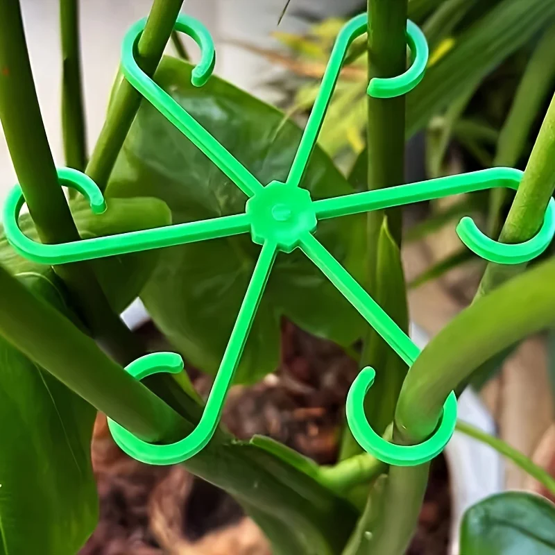 Plant anti-toppling steun - afbeelding 6