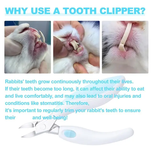 Bunny Teeth Nipper Cutter Stainless Steel Pet Teeth Clipper Suitable For Rabbits Squirrels Small Animal Care 5