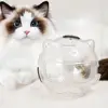 Transparent Breathable Cat Muzzle Anti-Licking Anti-Bite Cat Muzzle Protective Space Hood Anti Scratch Cat Grooming Accessories