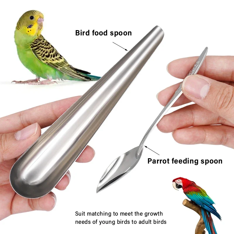 Stainless Steel Bird Feeding Tools Pet Bird Cage Feeder Food Spoon Feeding Small Pet Supplies Cockatiel Parrot Accessories