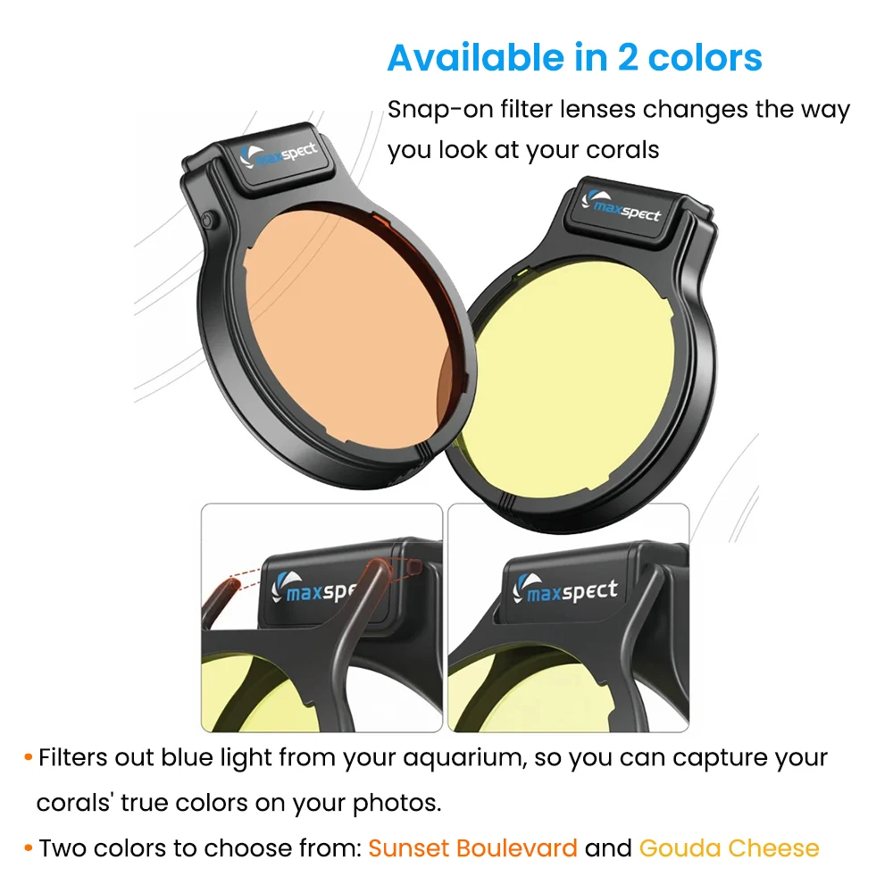 أكواريوم بيس مارينوس كورال فيجن نوكتيرنا لوبا ديب...