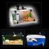 1/2/5/10PCS UVA UVB Reptile Heating Light Bulb 25/50/75W Snake Turtle Pet Full Spectrum Basking UV Light Bulbs Heating Light 4