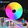 RGB Neon LED Strip Waterproof Flexible Ribbon Tape Neon Lights with App 44key Remote Control for Home Room Outdoor Decoration 1