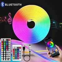RGB Neon LED Strip Waterproof Flexible Ribbon Tape Neon Lights with App 44key Remote Control for Home Room Outdoor Decoration 1
