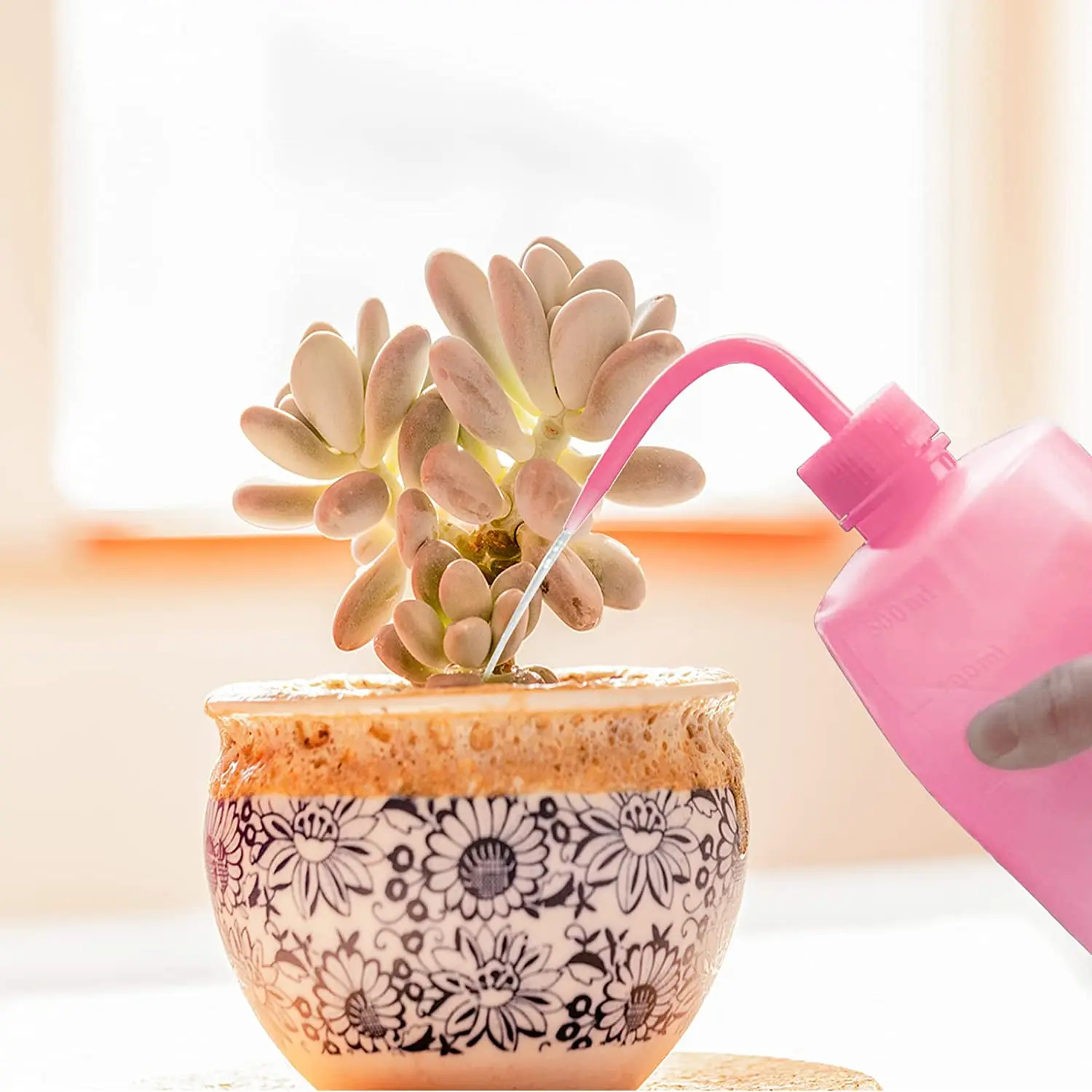 250/500ml Watering Can Succulent Watering Bottle Flower Squeeze Bottle with Scale Label Plastic Bend Mouth Safety Wash water bottle