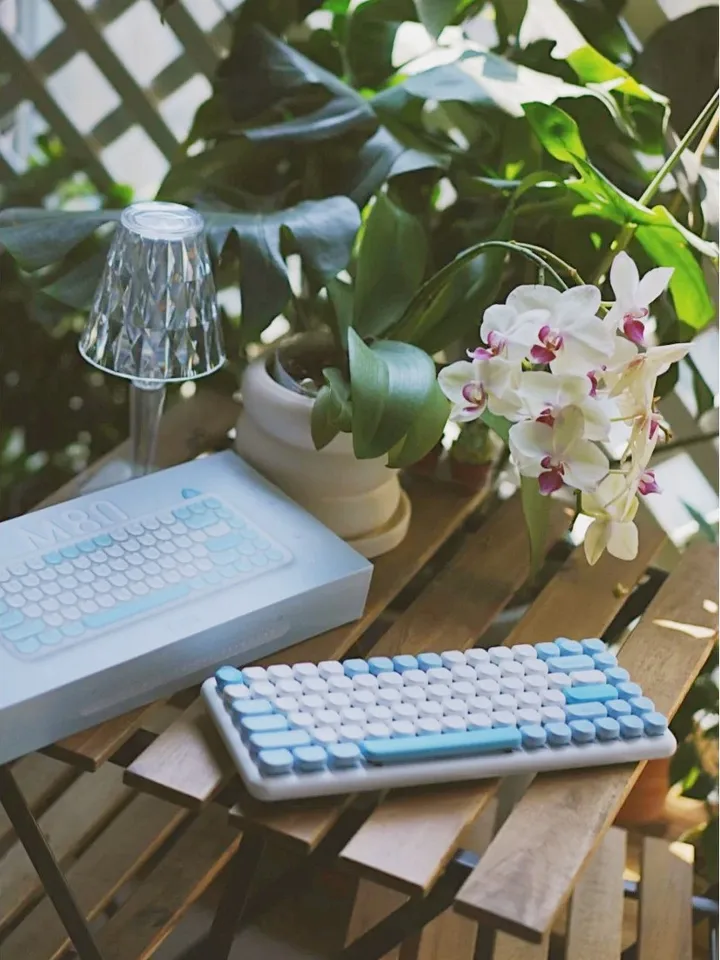 メカニカルゲーミングキーボードIQUNIX-M80猫,青,子猫,ワイヤード