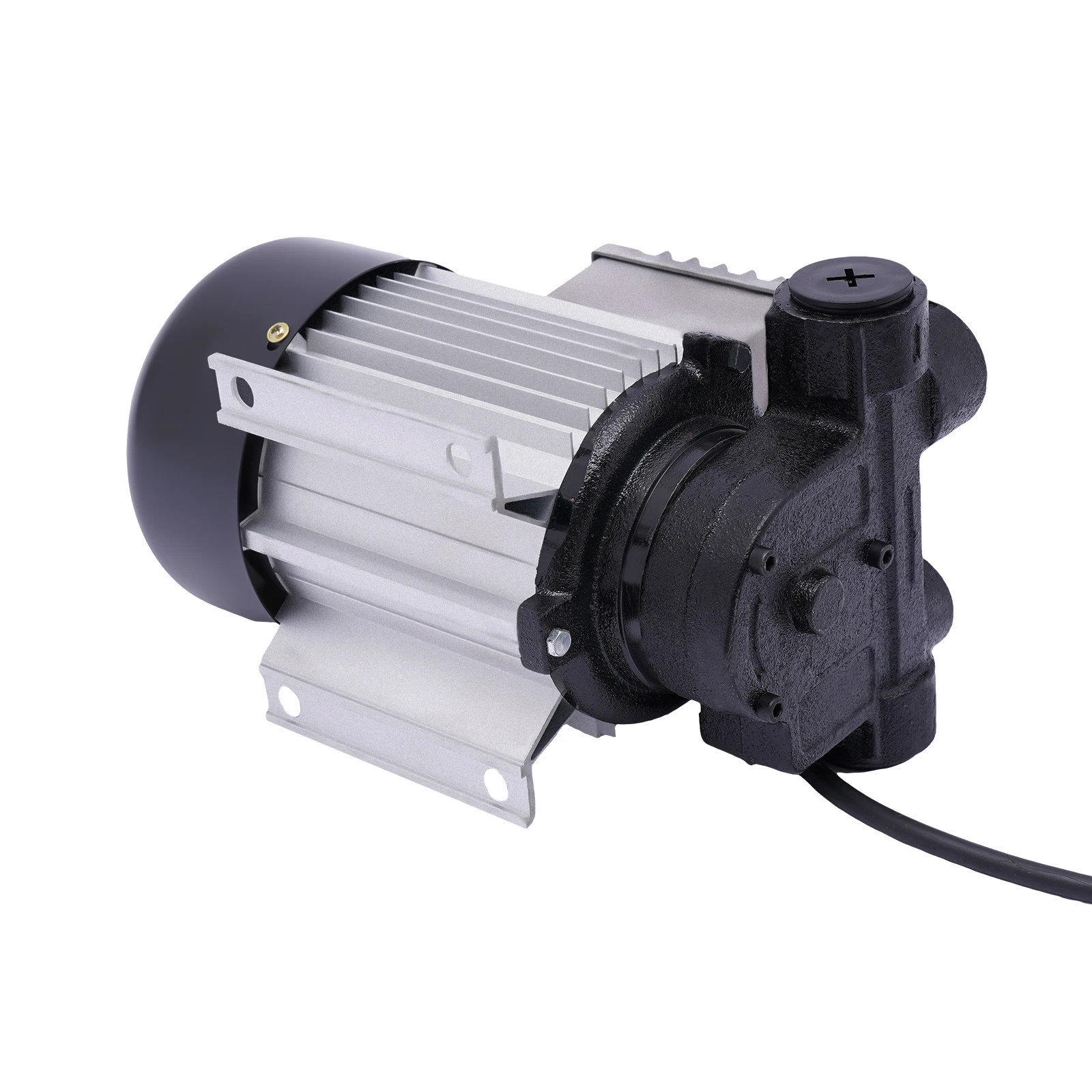 550W 110V AC Portable Commercial Motor Transfer Pump Electric Oil Pump Self  Priming Pump 5.28-15.85gal/min - AliExpress