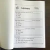 Reading Comprehension Level C-P Workbook Question Guided Reading Practice Learning English Toys for Children Kid Montessori 6