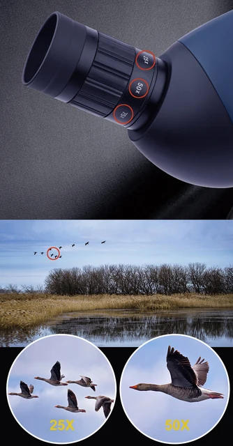 Binoculars For Adults BORWOLF 25-75X70 High Magnification HD