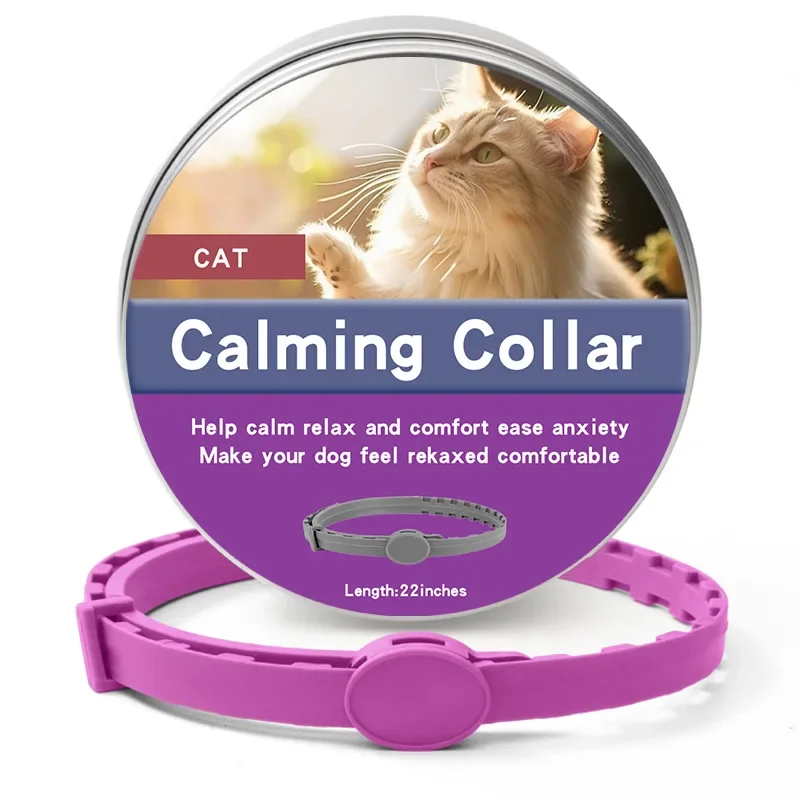 Cat 56cm Purple