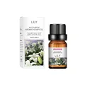 Oil-lily