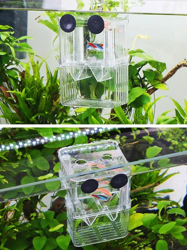 Betta 아크릴 물고기 사육 격리 상자, 수족관 사육기, 물고기 탱크 부화 인큐베이터, 물고기 집 부화장, 3 가지 유형 2