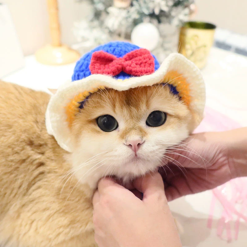 Sa94e732f0a1148ebac12cf139ab83d1dq