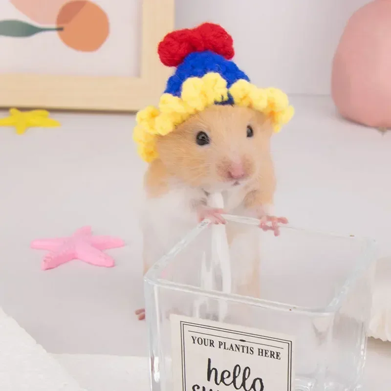 Hamster Hat Small Animals Lovely Hand Knitted Hats for Lizard