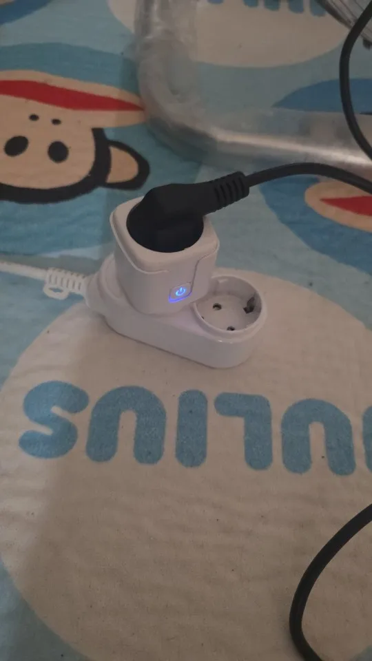 Tuya WiFi Smart Plug EU 20A Smart Socket Without Power Monitor Timing Voice Control Works Whit Alexa Google Home Alice photo review