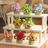 DIY MOC Potted Rose Sunflower Plants Succulents Bonsai Tree Gardens Romantic Building Blocks Model Bricks Kids Sets Kits Toys 3