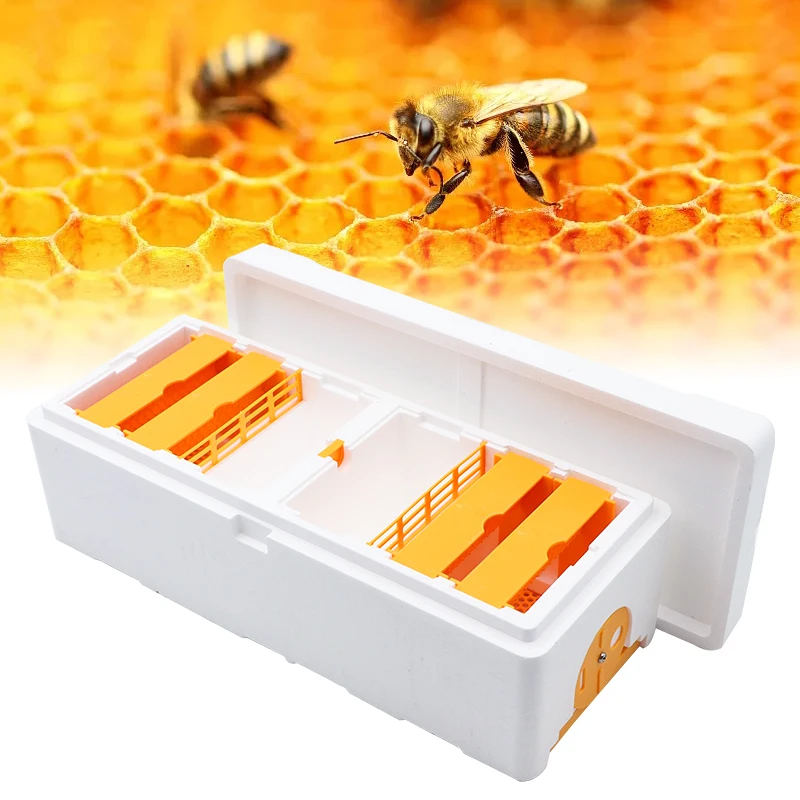 Accessoire Culture Plantes Pollinator Secret Box Avec Variateur - Fumée ...