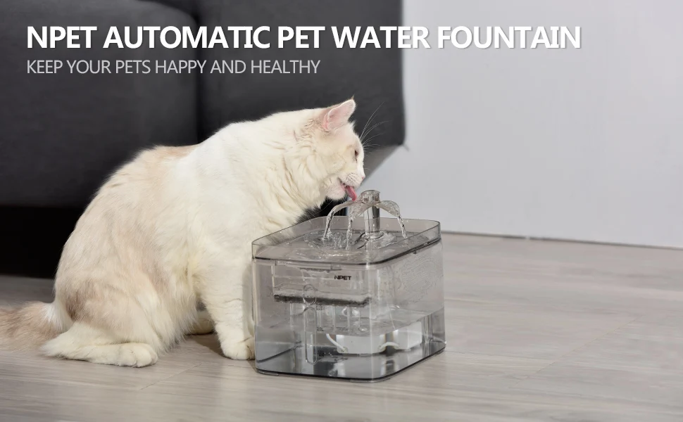 cat water fountain