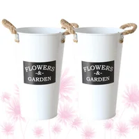 2 Pcs Simulation Disposable Cup Mini Bucket Rope Tote Handle Tin Flower Vase Arty Flower Container Desktop Flowerpot Home A 1