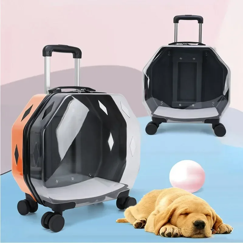 Portable Fashion Cat Trolley Case Dog Travel Transport Bag Transparent Wide View Handbag Outing Backpack Bubble Pet Box