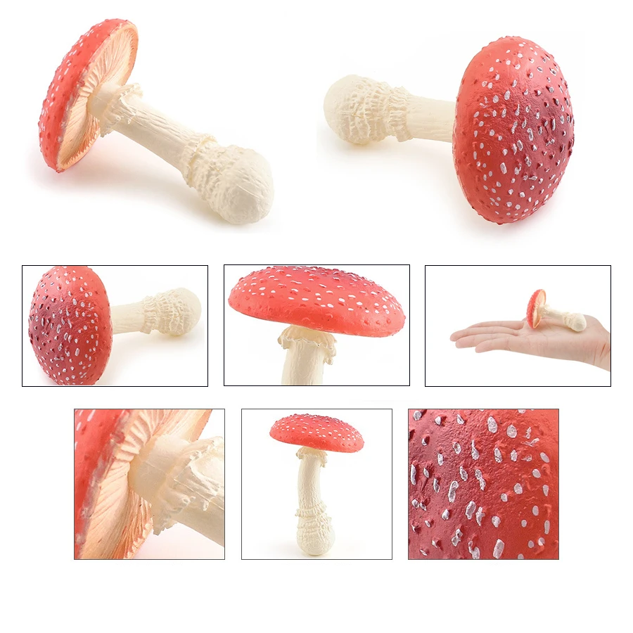 Realistische Gemüsemodellfiguren Kohl, Karotte, Zwiebel, Spinat, Mais, Butterbur, Sojabohnen, pädagogisches kognitives Lernspielzeug – Detail 28