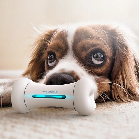 

High Technical APP Control USB charging Automatic smart electronic interactive Wicked bone cat dog pets toys