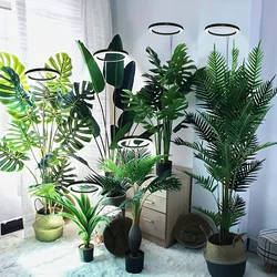 Height Adjustable LED Grow Light with Full Spectrum and Timer - USB