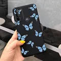 Case-c20