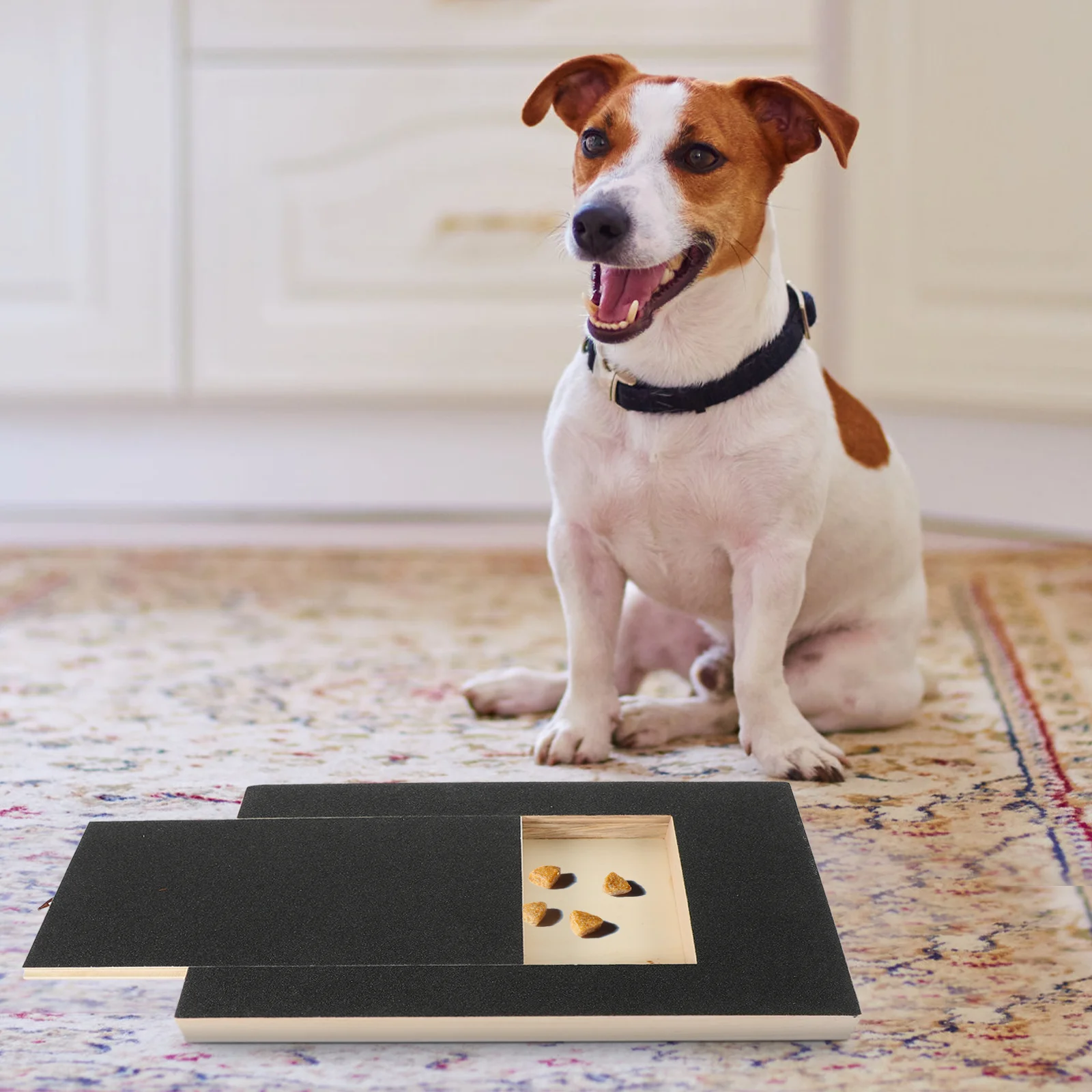 

Dog Nail Scratch Board Dog Paw Scratch Pad Pet Nail Grinding Board with Treat Box